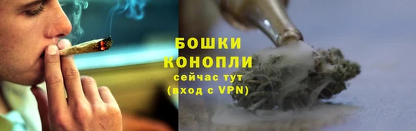 шишки Липки