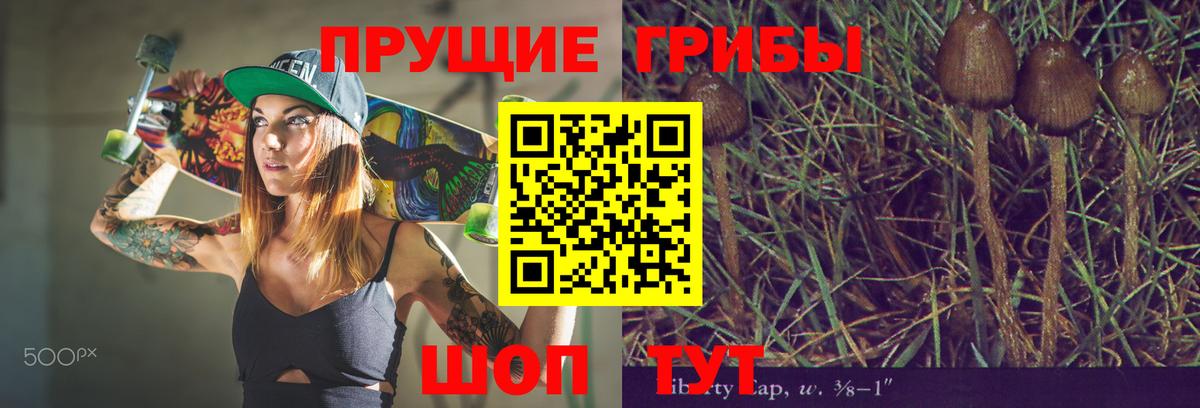Первоуральск  Псилоцибиновые грибы Magic Shrooms  Вход с VPN 